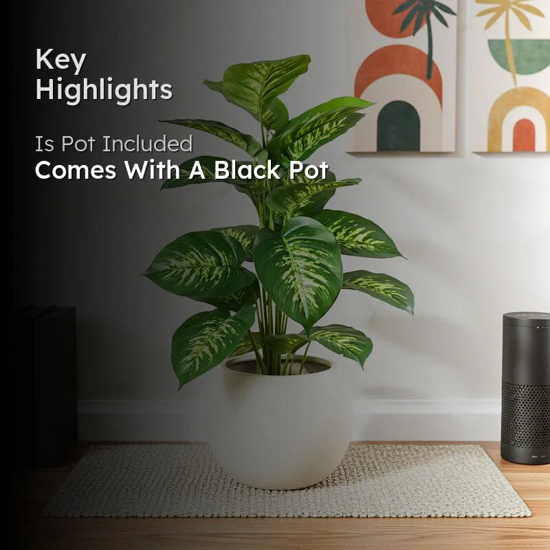 Differa Artificial Dieffenbachia Plant With Black Plastic Pot (2 Feet)  - Yellow, Green media 2
