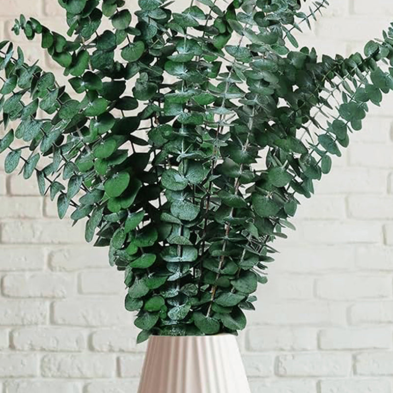 Eucalyssence Dried Eucalyptus Stems - Set Of Ten media 3