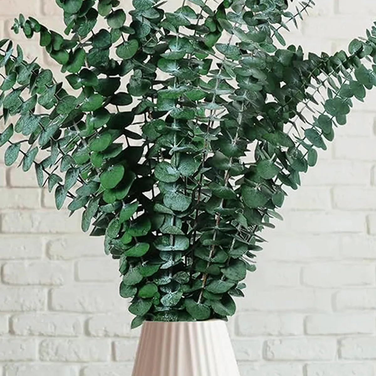 Close view of green eucalyptus stems in a light vase against a white brick wall