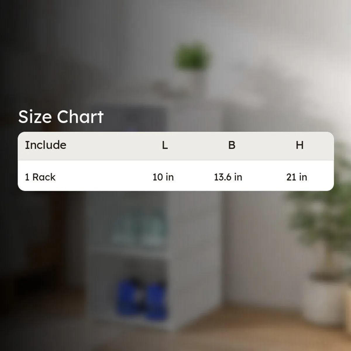 Size chart graphic for one rack with dimensions in inches