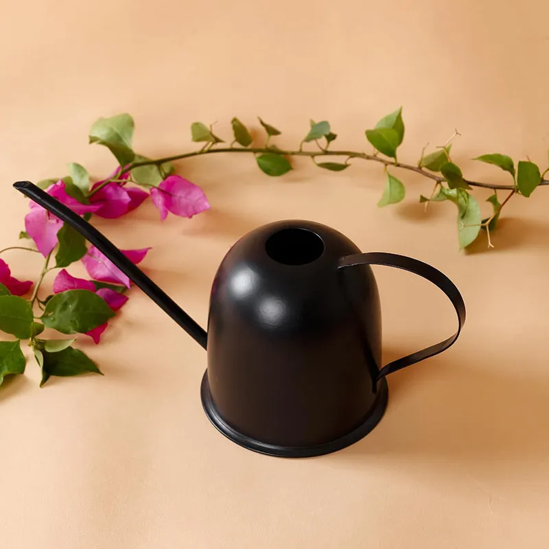Spry Metal Watering Can media 1
