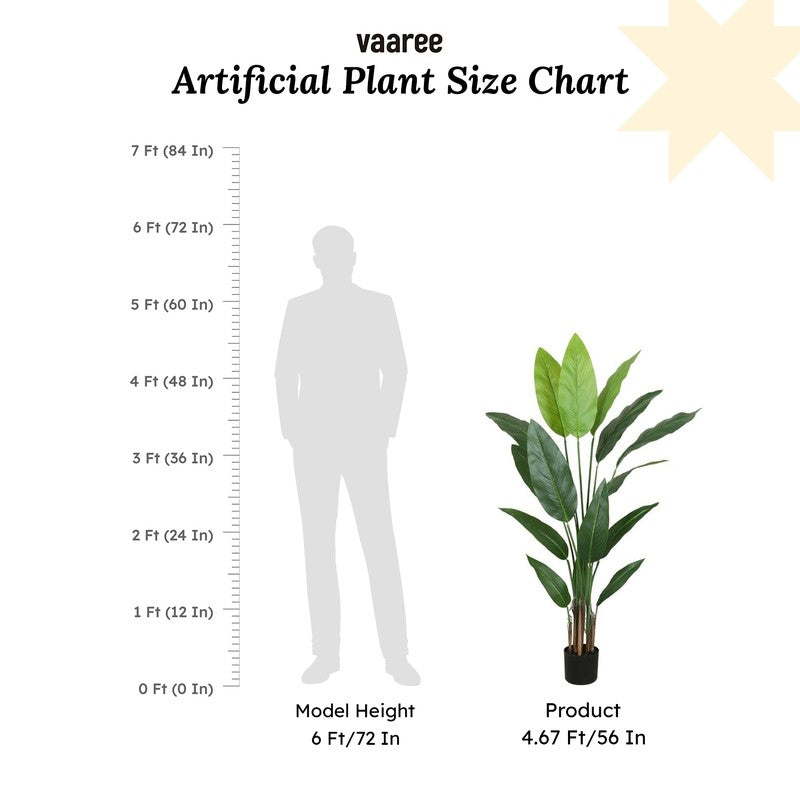Artificial Strelitzia Plant With Black Fiber Pot - 4.6 Feet media 7
