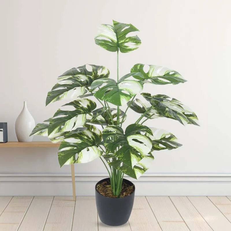 Faux Lush Monstrera Plant With Black Plastic Pot - 2.3 Feet media 3