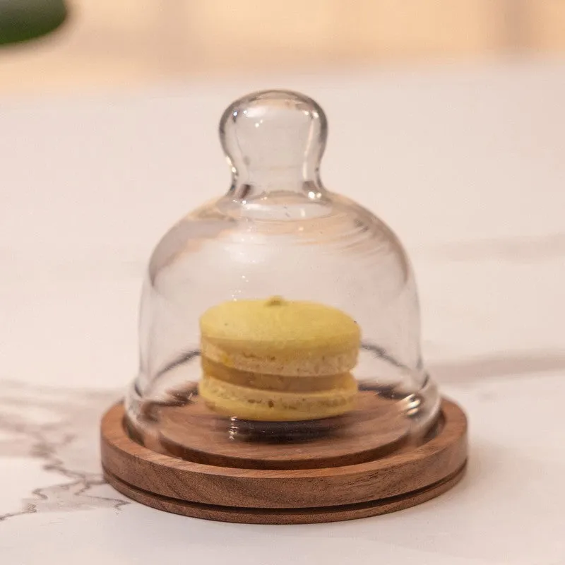 Velora Cake Stand media 3