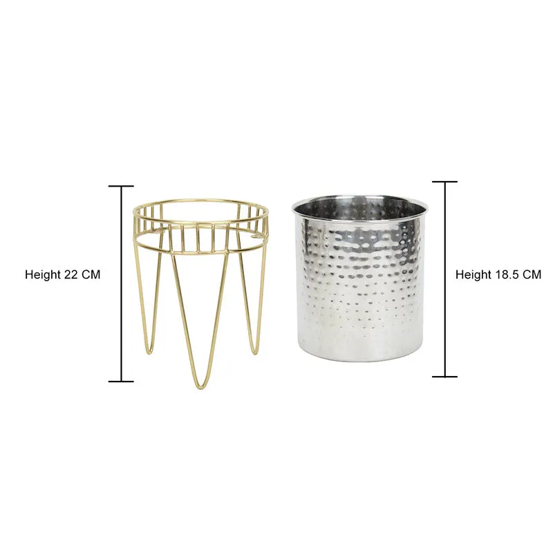 Zenva Stainless Steel Planter - Silver & Gold media 5