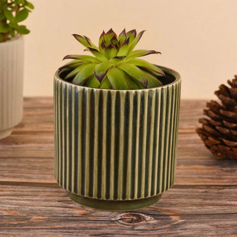 Ahanay Ribbed Planter (Olive Green & White) - Set Of Two media 3