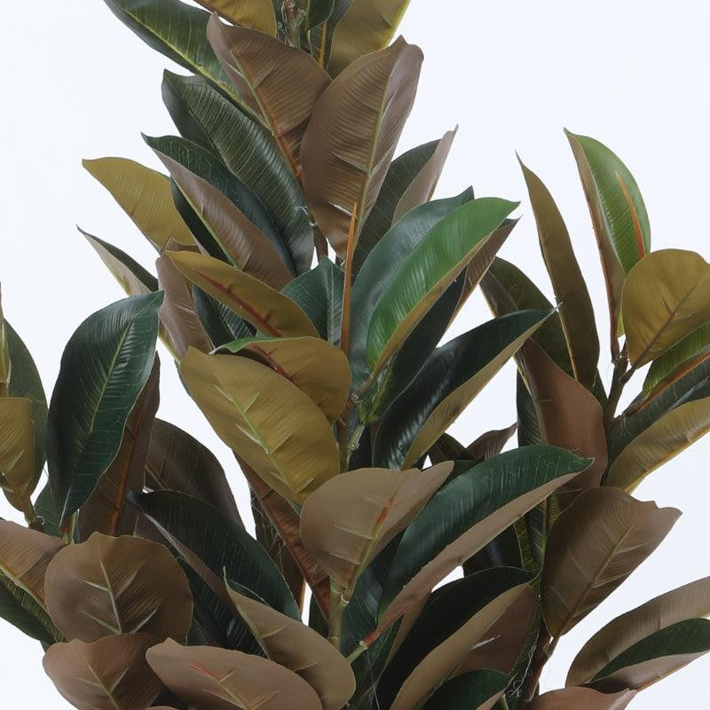 Faux Red Fig Rubber Plant With Black Plastic Pot - 2.79 ft media 5