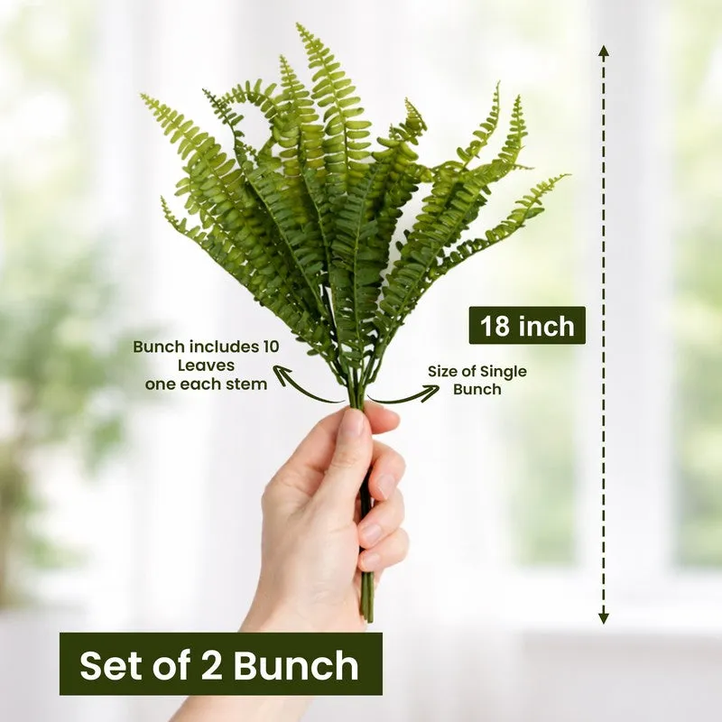 Fernique Plastic Artificial Plant - Set Of Two media 10