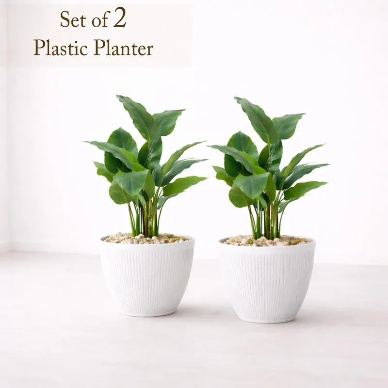 BloomBin Planters (White) - Set Of Two media 3