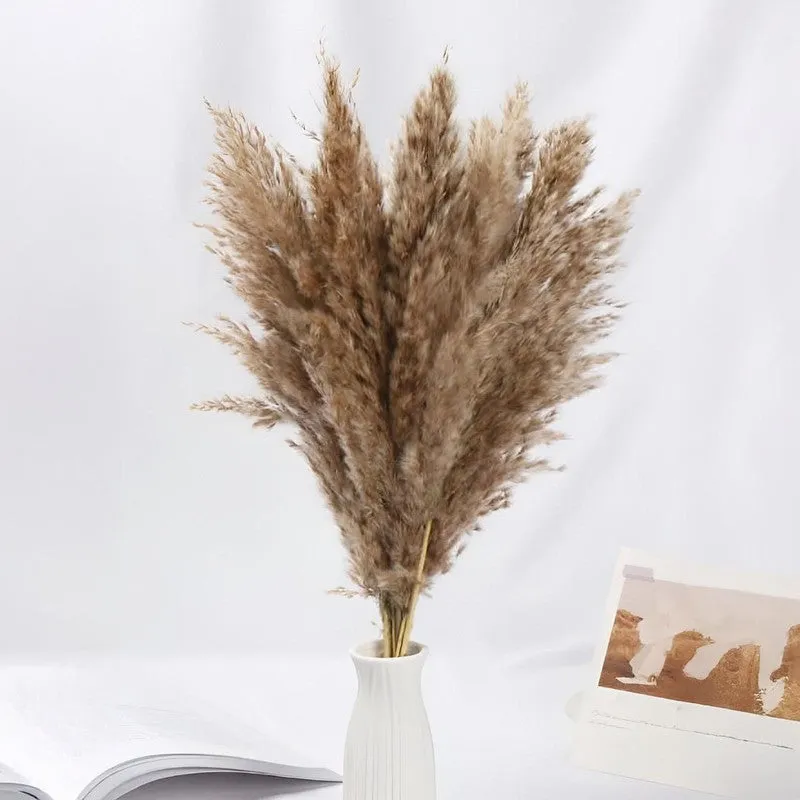 Savannah Artificial Pampas Stem (Brown) - Set Of Four media 3