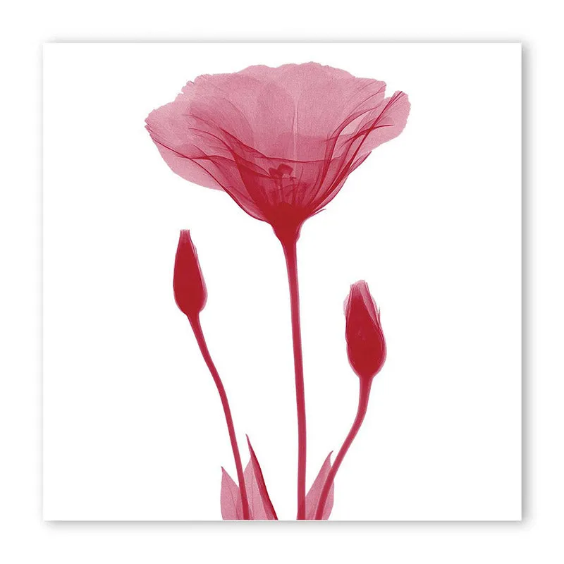 Holbrook Floral Wall Art media 4