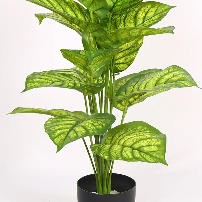 Calena Artificial Caladium With Black Plastic Pot - Green media 4