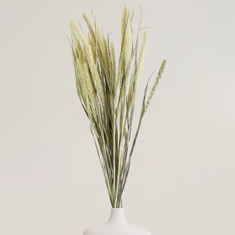 Mimo Dried Millet Grass Stick (Yellow) - Set Of Twenty media 1