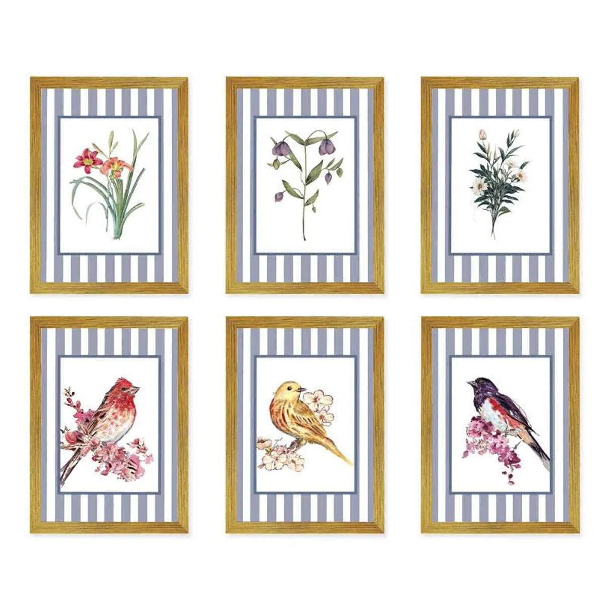 Front view of six brown framed botanical and bird prints on a white background.