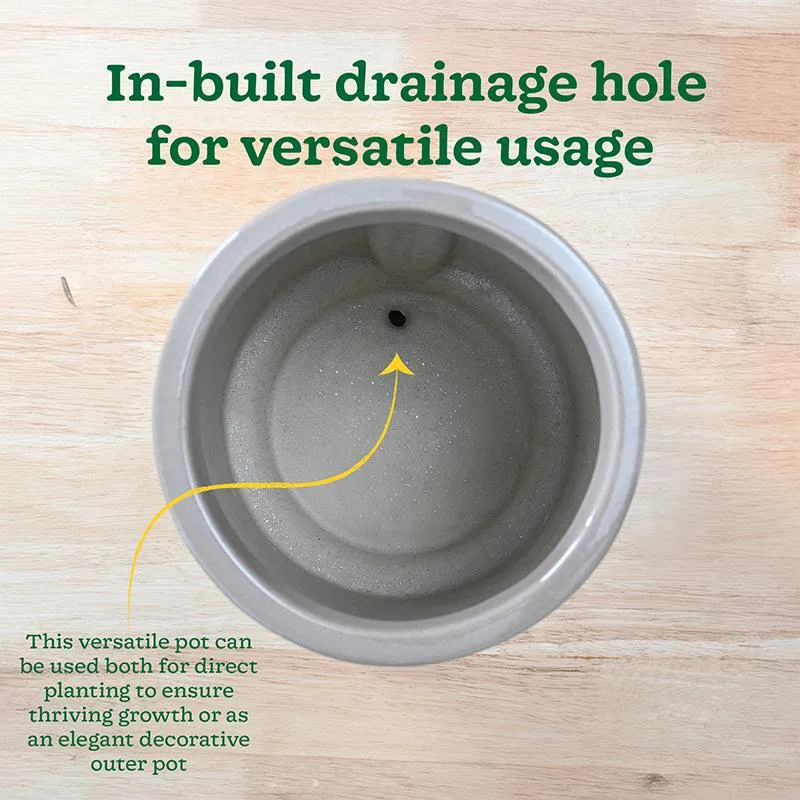 Ugaoo Duke of Drainage Ceramic Planter - Beige media 7