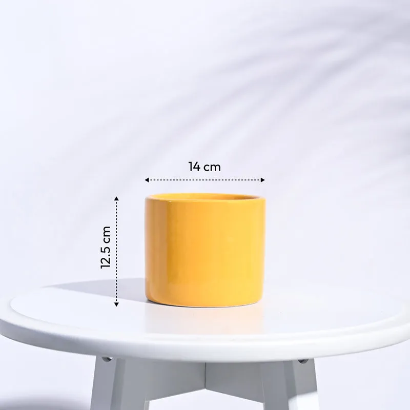 Ugaoo Pipe Yellow Ceramic Pot media 6