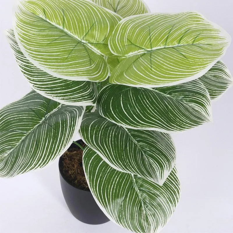 Faux Realtouch White Dieffenbachia Tree With Black Plastic Pot - 1.8 Feet media 5