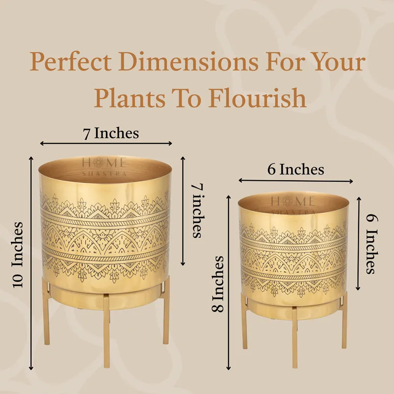 Vinyas Raaga Golden Planter with Stand - Set of Two media 7