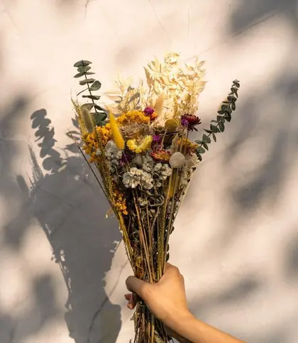 Dried Flowers & Leaves