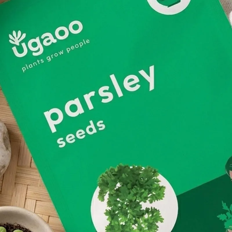 Ugaoo Parsley Seeds media 3
