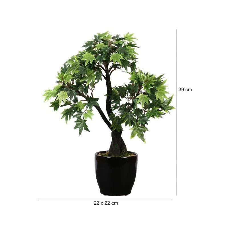 Faux Tall Maple Bonsai (39 cms) - Green media 4