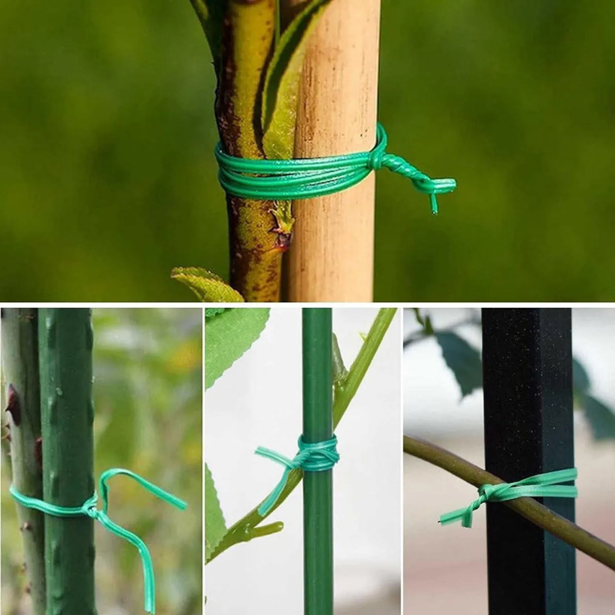 Green tie holding a plant stem against a wooden support