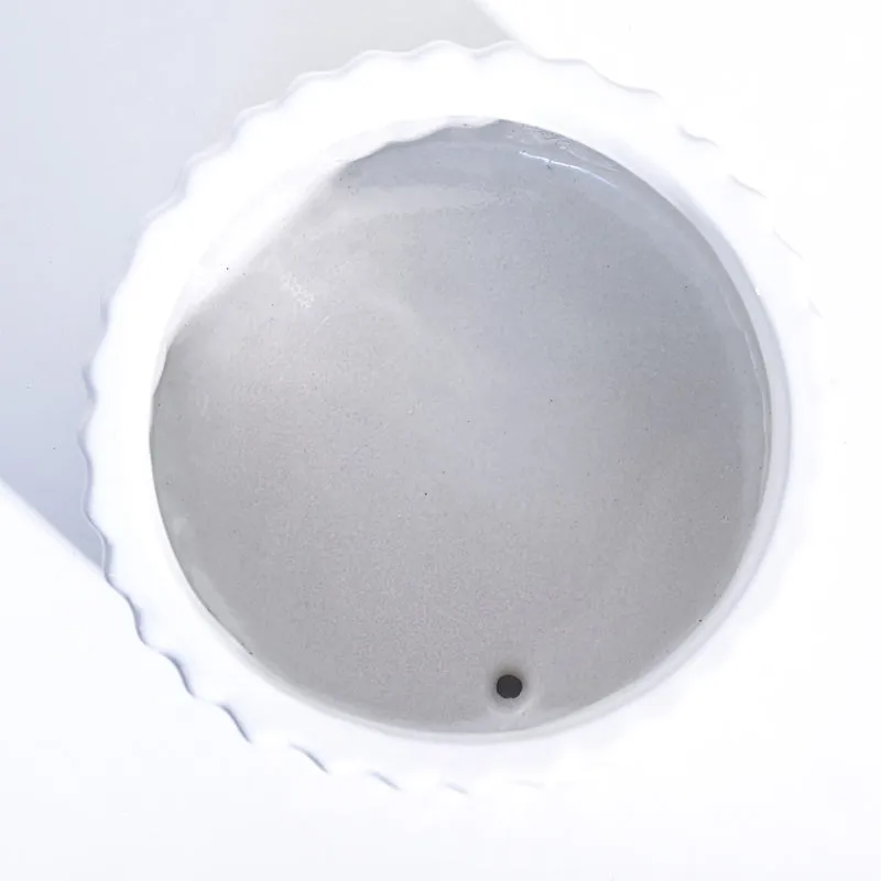 Ugaoo Fleeting Bliss White Ceramic Pot media 5