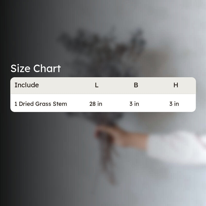 Ariel Dried Statice Flower Bunch - Grey media 6