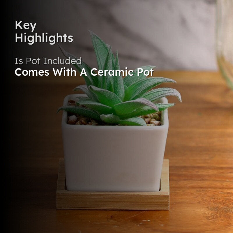 Faux Agave In Square Pot - 9.5 cms media 2