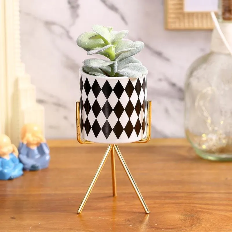 Faux Succulent In Checkered Pot With Tripod - 20 cms media 1