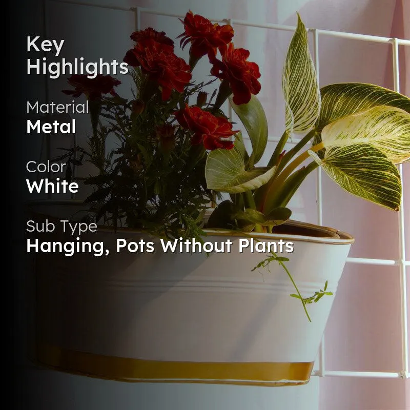 Norva Hanging Planter (White) - Set Of Six media 2