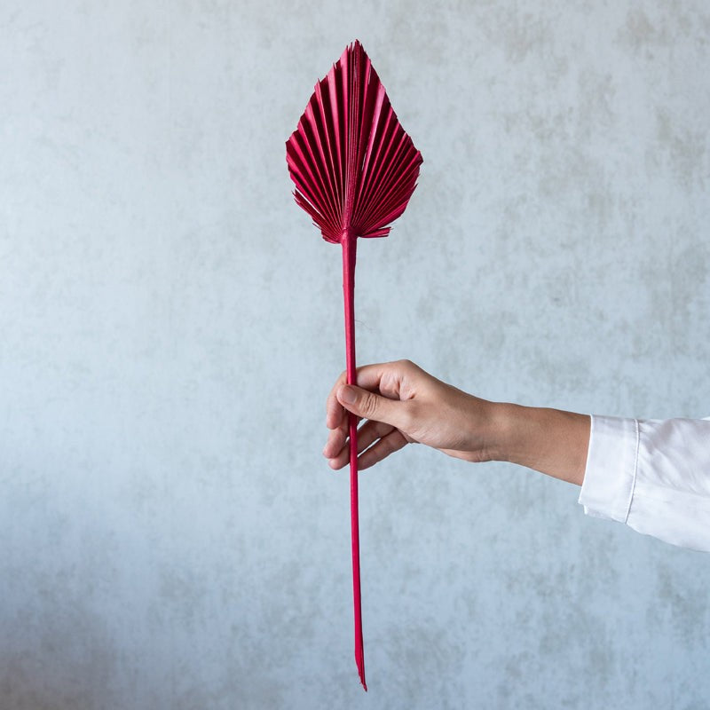 Trovio Naturally Dried Palm Leaf (Red) - Set Of Five media 3