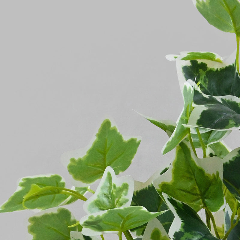 Faux Everlasting English Ivy Plant With Black Plastic Pot - 48 cm media 4