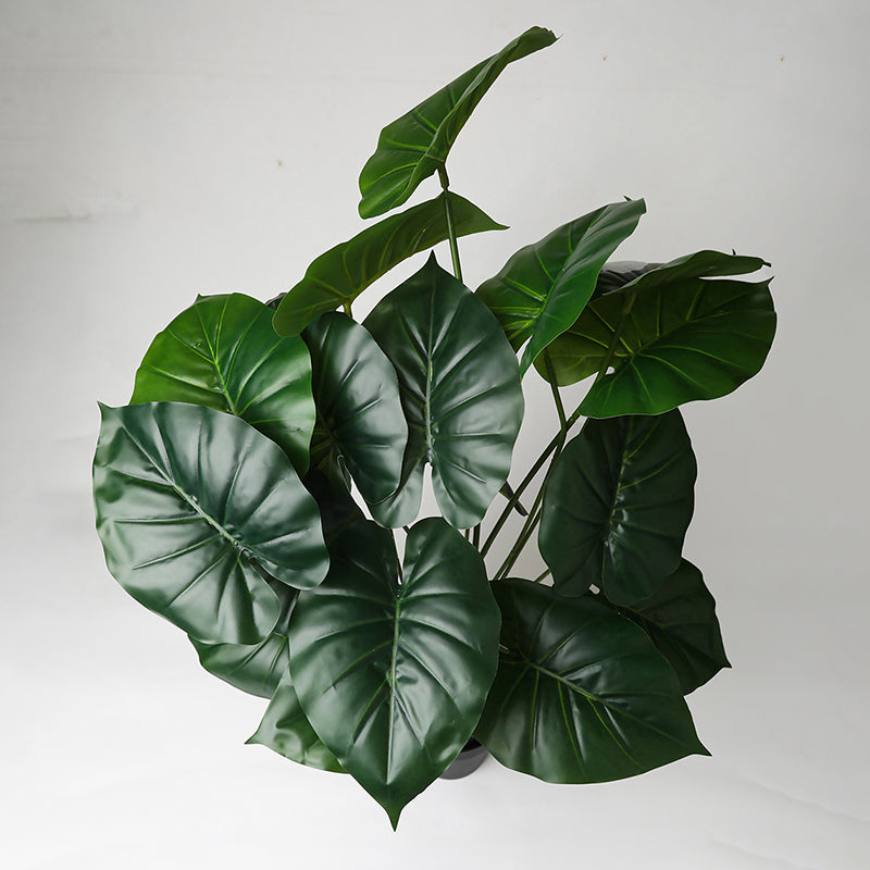 Faux Everlasting Cardinal Philodendron Plant With Black Plastic Pot - 74 cm (2.4 ft) media 7