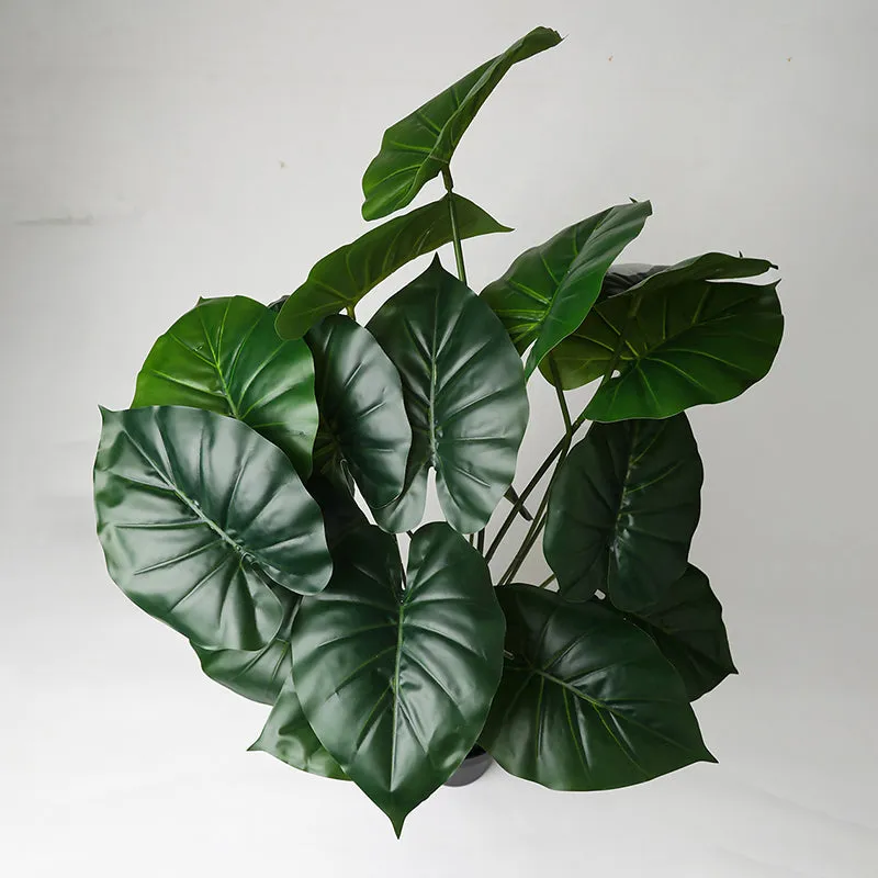Faux Everlasting Cardinal Philodendron Plant With Black Plastic Pot - 74 cm (2.4 ft) media 7