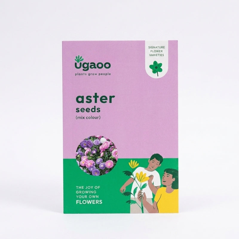 Ugaoo Aster Mix Seeds media 5
