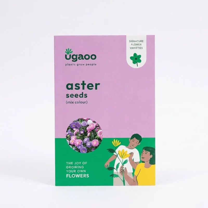 Ugaoo Aster Mix Seeds media 5