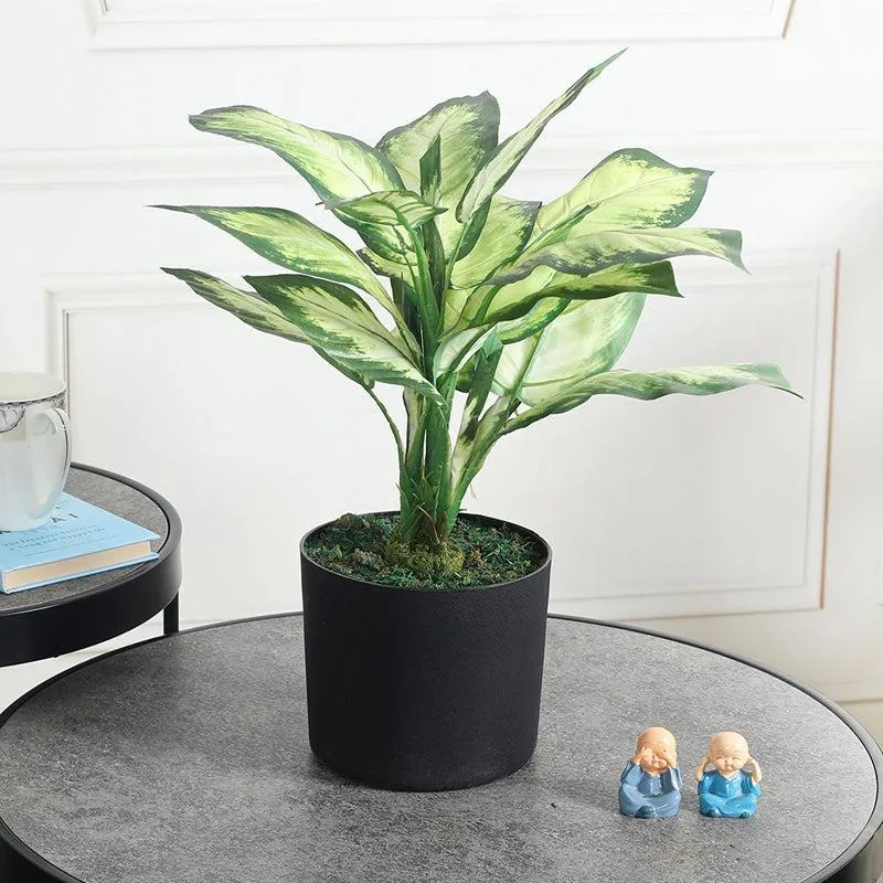 Serene Sprout Artificial Plant With Black Plastic Pot media 2