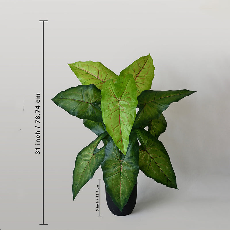 Faux Everlasting Muffet Caladium Plant With Black Plastic Pot - 79 cm (2.6 ft) media 5