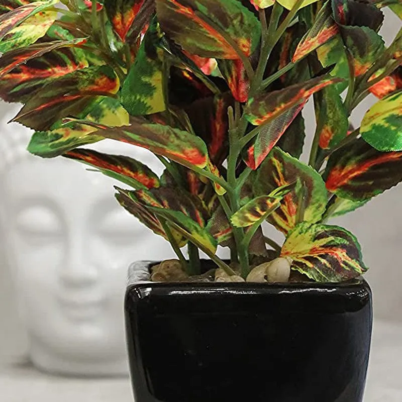 Artificial Coleus Leaf Bonsai Plant With Ceramic Pot - 0.7 Feet media 3