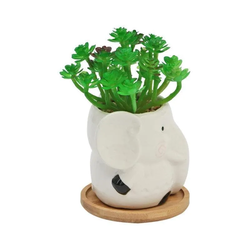 Faux Crassula In Elephant Face Pot - 17.5 cms media 4