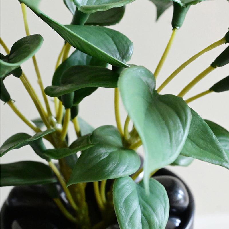 Moniva Artificial Pothos/Money Plant With Black Plastic Pot (Dark Green) - 19 cm media 4