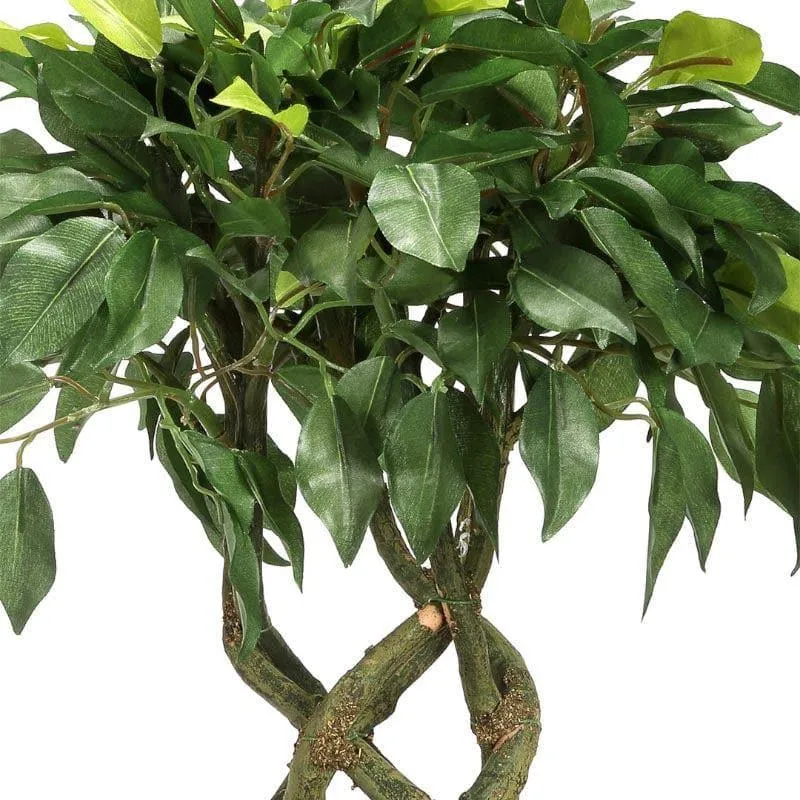Faux Creeper Ficus Bonsai (41 cms) - Green media 3