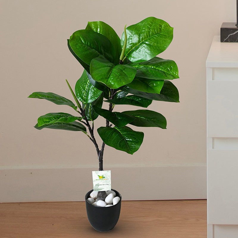 Faux Decorative Fiddle Fig Plant With Pot - 71 cm (2.3 ft) media 2