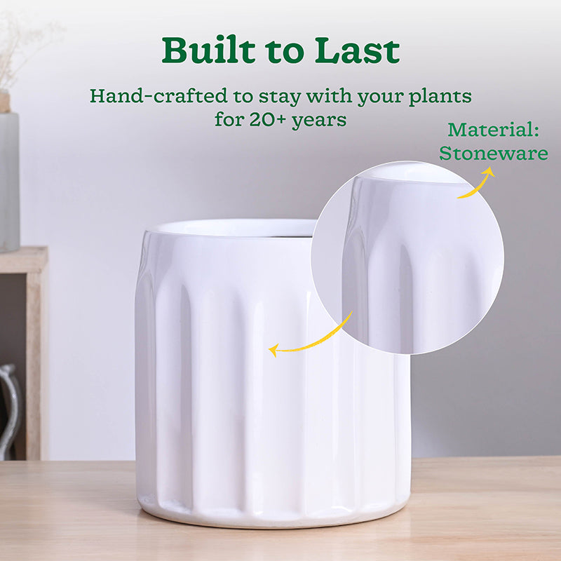 Ugaoo Straits Ceramic Planter - White media 4