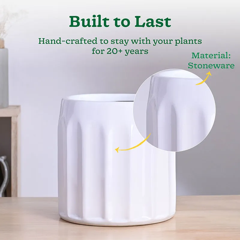 Ugaoo Straits Ceramic Planter - White - 4