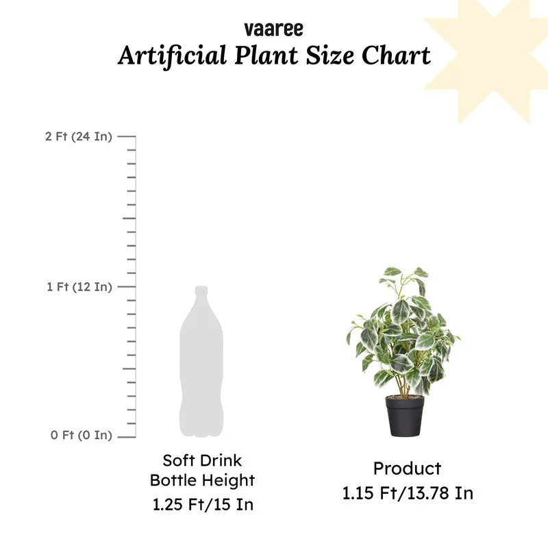 Artificial Pearls & Jade Pothos Plant With Black Fiber Pot - 1 Feet media 7