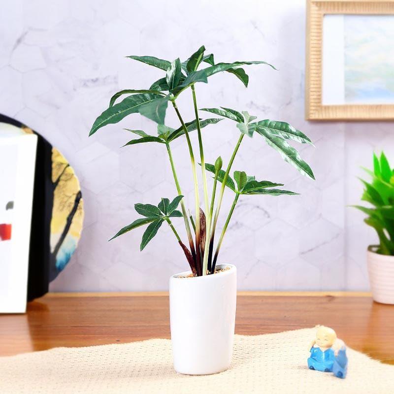 Faux Pachira Bonsai In Tube Pot - 38 cms