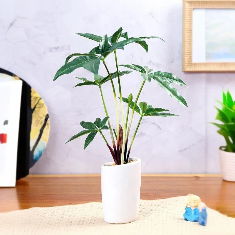 Faux Pachira Bonsai In Tube Pot - 38 cms media 1