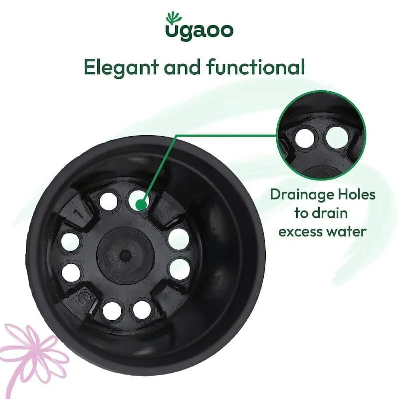 Black plant pot shown from above with drainage holes visible